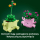 LEGO BOTANICALS 11506 Bujające się roślinki - 1517894 - zdjęcie 7